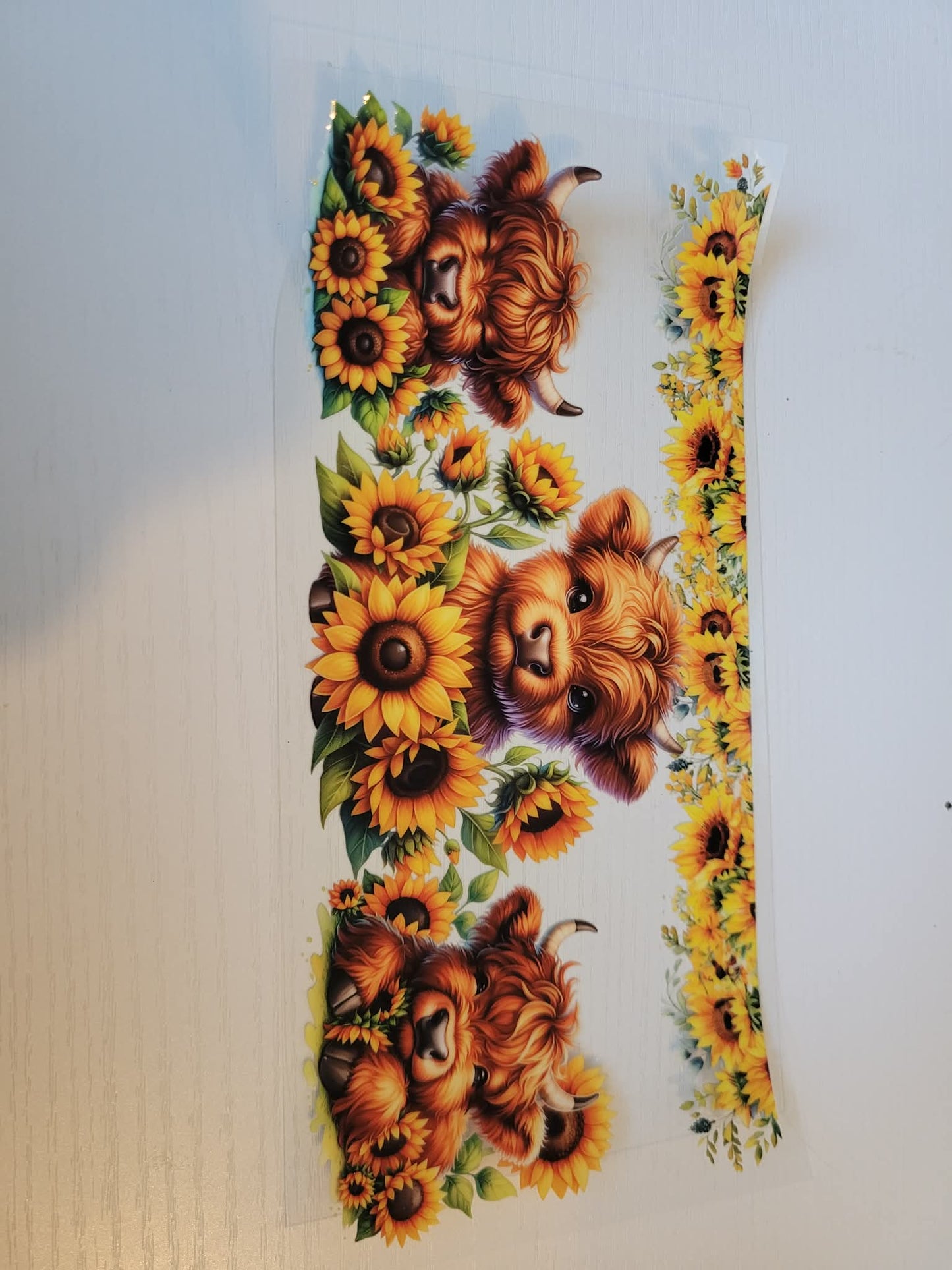 Highland cow decals